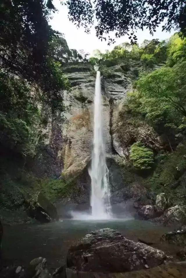 巫师之徒